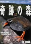 【中古】大自然ライブラリー 奇跡の森~亜熱帯沖縄・やんばるの自然~湊和雄 [DVD]｜Come to Store