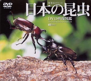 【中古】日本の昆虫 DVD映像図鑑｜Come to Store