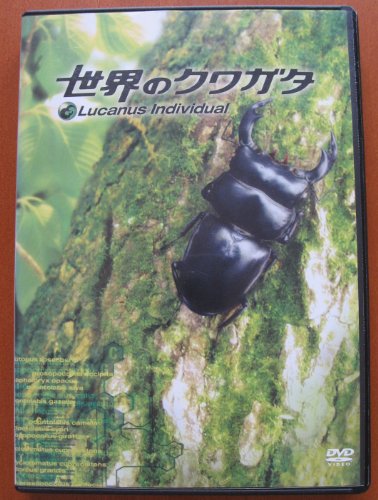 【中古】世界のクワガタ [DVD]