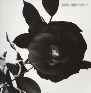 【中古】幻想の花 (初回限定生産盤)|Come to Store