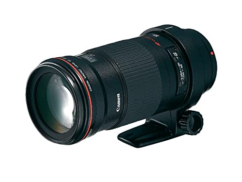 【中古】Canon 単焦点マクロレンズ EF180mm F3.5L マクロ USM フルサイズ対応|Come to Store