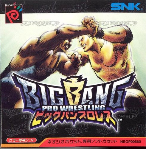 【中古】ビッグバンプロレス NPC 【ネオジオポケット】｜Come to Store