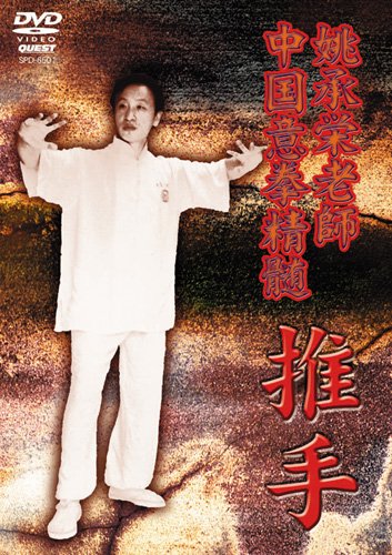 【中古】中国意拳精髄 推手 [DVD]