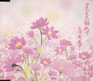 【中古】コスモス揺れて｜Come to Store