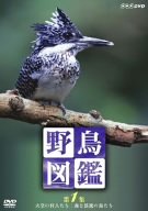 【中古】野鳥図鑑 第1集 [DVD]