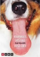 【中古】RAPHLES VISUAL HISTORY [DVD]｜Come to Store