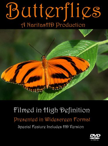 【中古】Butterflies [DVD] [Import]｜Come to Store