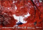 【中古】Virtual Trip 京都の紅葉 (トールサイズリニューアル) [DVD] 6,844円