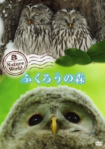 【中古】ネイチャー・ワールド ふくろうの森 [DVD]｜Come to Store