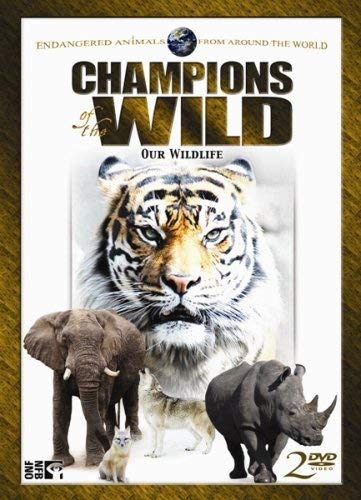 【中古】Champions of the Wild: Bengal Tigers & White Rhino [DVD]