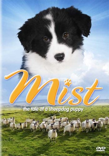 【中古】Mist [DVD]｜Come to Store