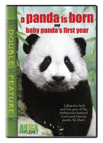 【中古】Panda Is Born & Baby Pandas First Year [DVD]