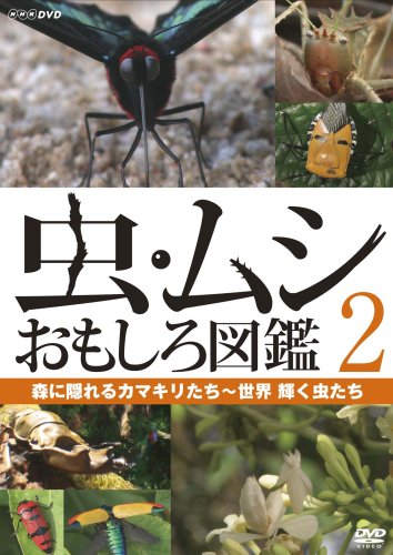 【中古】虫・ムシ おもしろ図鑑 2 森に隠れるカマキリたち~世界 輝く虫たち [DVD]｜Come to Store