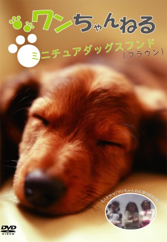 【中古】ワンちゃんねる 双子のミニチュアダックスフンド(ブラウン) [DVD]
