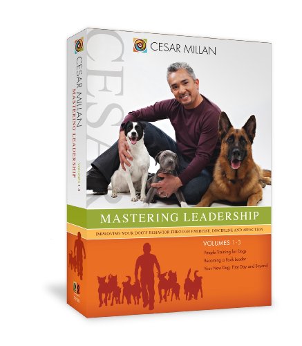 【中古】Mastering Leadership [DVD]