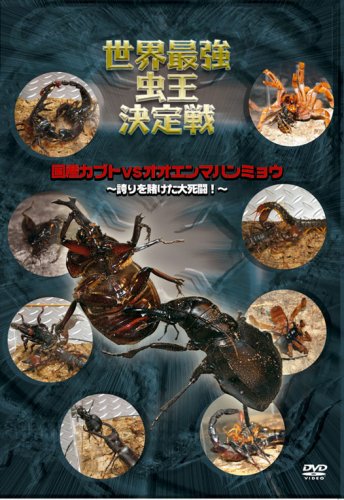 【中古】世界最強虫王決定戦 国産カブトvsオオエンマハンミョウ~誇りを賭けた大死闘!~ [DVD]