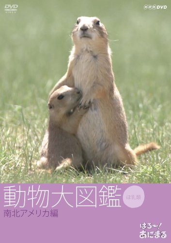 【中古】はろ~!あにまる 動物大図鑑 5 南北アメリカ編 [DVD]