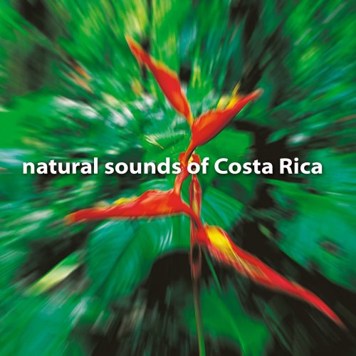 【中古】Natural Sounds of Costa Rica