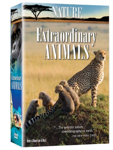 【中古】Nature: Extraordinary Animals [DVD]｜Come to Store