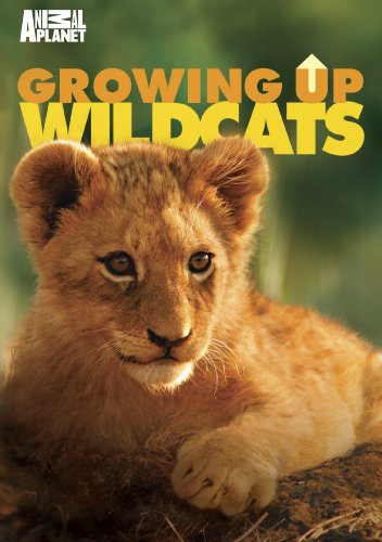 【中古】Growing Up Wildcats [DVD]｜Come to Store