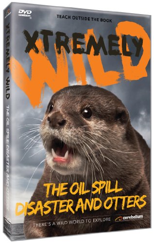 【中古】Oil Spill Disaster & Otters [DVD]｜Come to Store 12,213円