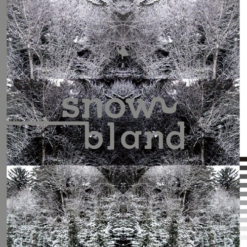 【中古】SNOW BLAND