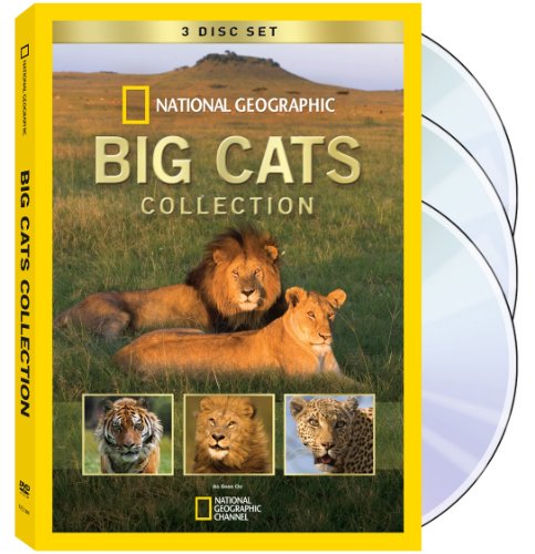 【中古】Big Cats Collection [DVD]｜Come to Store
