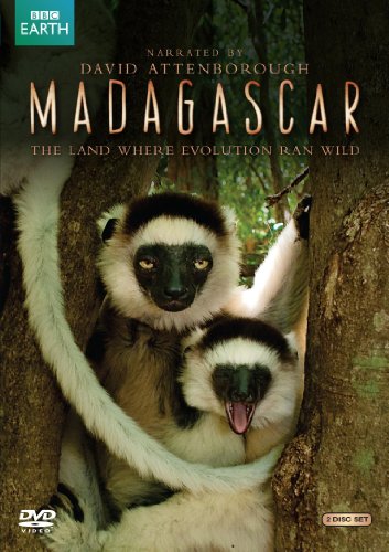 【中古】Madagascar [DVD]