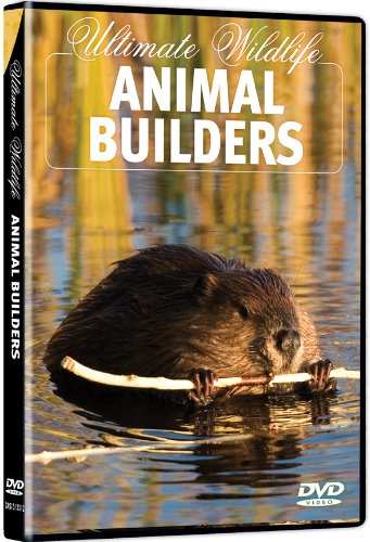 【中古】Ultimate Wildlife: Animal Builders [DVD]｜Come to Store
