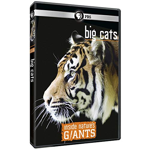 【中古】Inside NatureS Giants: Big Cats [DVD]｜Come to Store