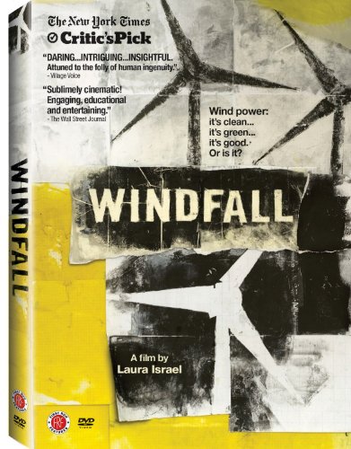 【中古】Windfall [DVD]｜Come to Store