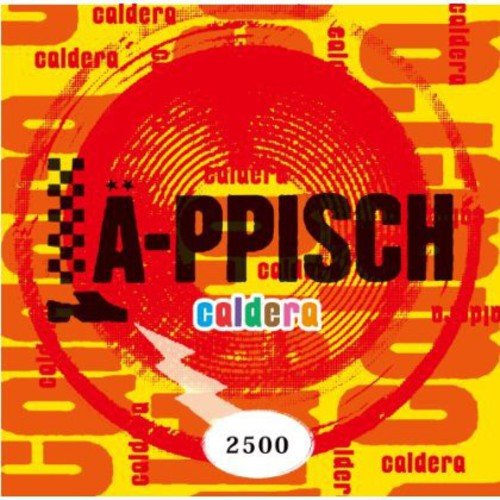 【中古】caldera｜Come to Store