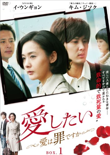 【中古】愛したい ~愛は罪ですか~ DVD-BOX1