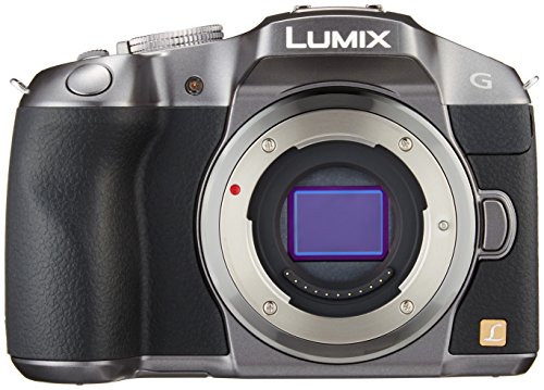 【中古】パナソニック ミラーレス一眼カメラ ルミックス G6 ボディ 1605万画素 シルバー DMC-G6-S｜Come to Store