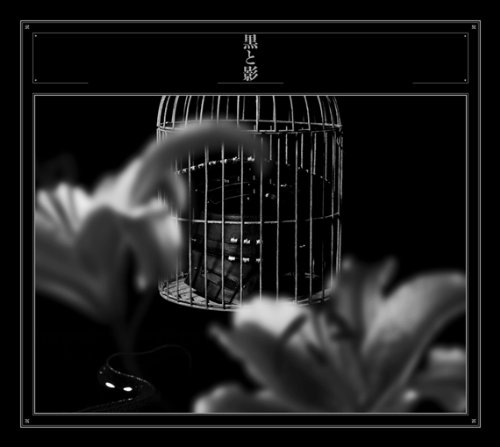 【中古】黒と影 (CD+DVD) (初回生産限定盤)