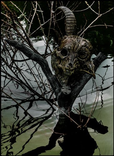 【中古】the GazettE LIVE TOUR13-14[MAGNIFICENT MALFORMED BOX]FINAL CODA LIVE AT 01.11 YOKOHAMA ARENA(初回生産限定盤 [DVD]｜Come to Store