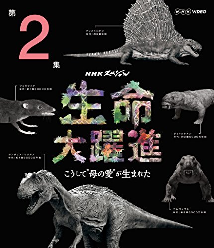 【中古】ＮＨＫスペシャル 生命大躍進 第２集 [Blu-ray]