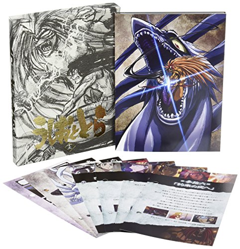 【中古】うしおととら 第13巻 [DVD]