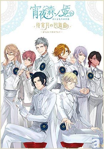 【中古】イベントDVD 宵夜森ノ姫 待宵月の円舞曲 21,744円
