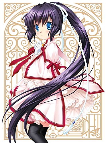 【中古】Rewrite 5(完全生産限定版) [DVD]