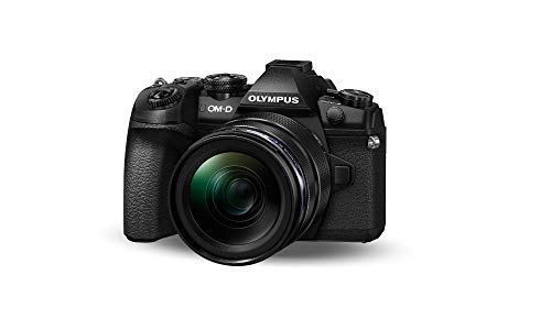 【中古】OLYMPUS ミラーレス一眼カメラ OM-D E-M1 MarkII 12-40mm F2.8 プロレンズキット｜Come to Store