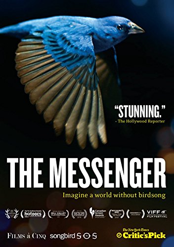 【中古】Messenger [DVD]