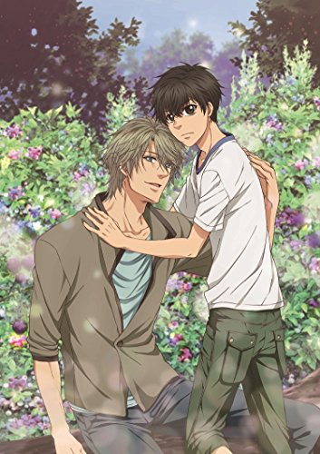 【中古】SUPER LOVERS 2第2巻限定版 [Blu-ray]