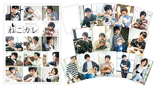 【中古】ねこカレ 豪華版(ムック本) [NKCDVDB-02]