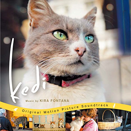 【中古】猫が教えてくれたこと