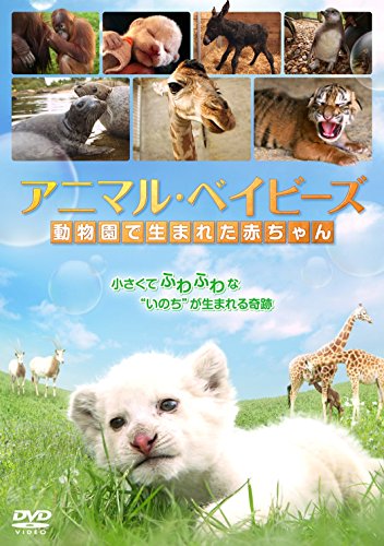 【中古】アニマル・ベイビーズ 動物園で生まれた赤ちゃん [DVD]