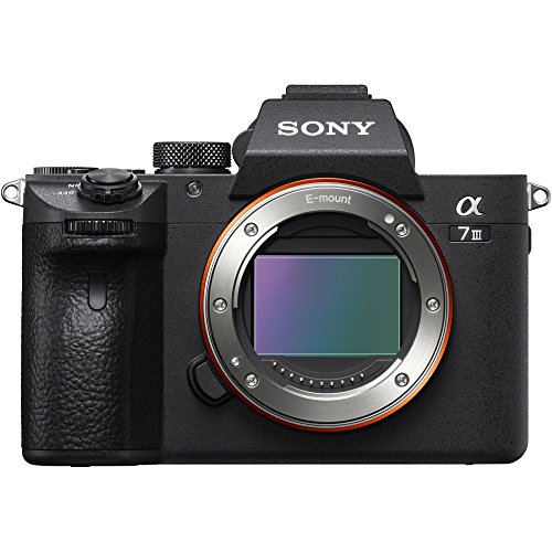 【中古】SONY(ソニー) フルサイズ ミラーレス一眼カメラ α7III ボディ(レンズなし) ブラック ILCE-7M3