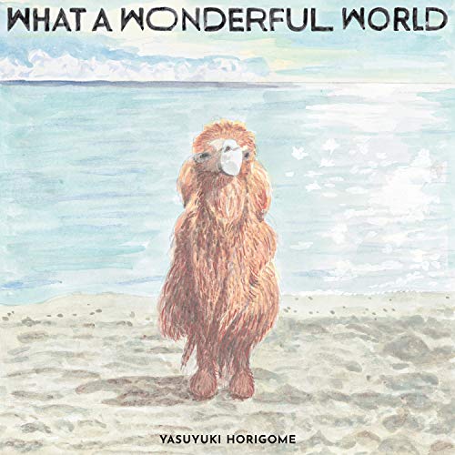 【中古】What A Wonderful World(アナログ) [Analog]
