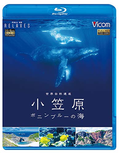 【中古】世界自然遺産 小笠原 ~ボニンブルーの海~【Blu-ray Disc】