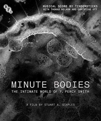 【中古】Minute Bodies [Blu-ray]｜Come to Store